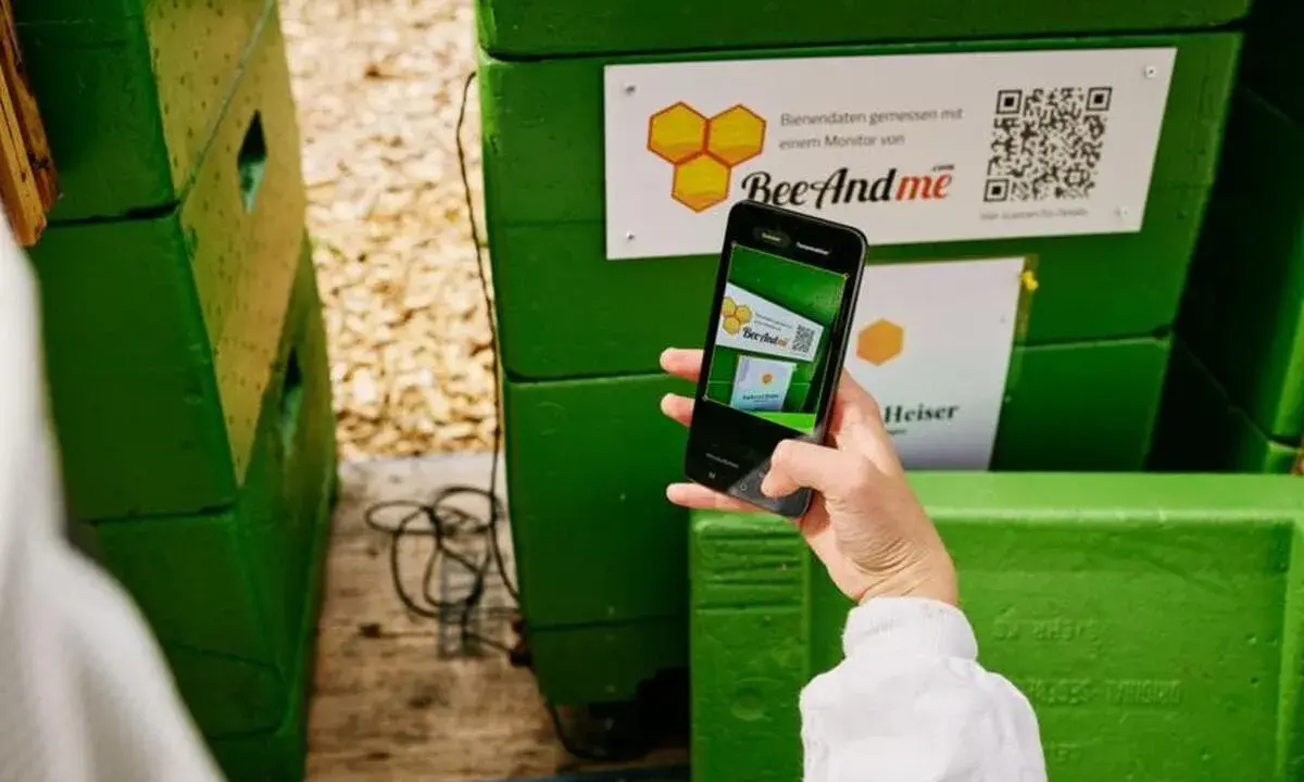 Telefonem skanuję kod QR na zielonej ulu, by dowiedzieć się, jak zeskanować kod QR ze zdjęcia.