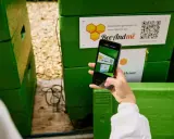 Telefonem skanuję kod QR na zielonej ulu, by dowiedzieć się, jak zeskanować kod QR ze zdjęcia.