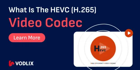 Dowiedz się więcej o kodekach do filmów HEVC (H.265) i ich znaczeniu dla wysokiej jakości kodowania wideo.