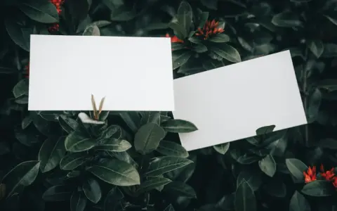 Dwie białe kartki na tle ciemnozielonych liści i czerwonych kwiatów. Idealne miejsce na notatki, jak zrobić wizytówkę.