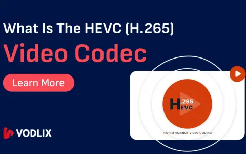 Dowiedz się więcej o kodekach do filmów HEVC (H.265) i ich znaczeniu dla wysokiej jakości kodowania wideo.
