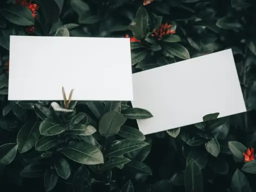 Dwie białe kartki na tle ciemnozielonych liści i czerwonych kwiatów. Idealne miejsce na notatki, jak zrobić wizytówkę.