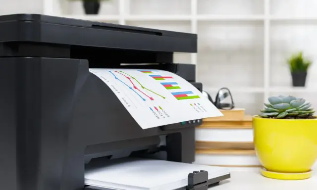 Drukarka laserowa budowa: czarny sprzęt biurowy drukuje wykresy. Obok stoi żółta doniczka z sukulentem.
