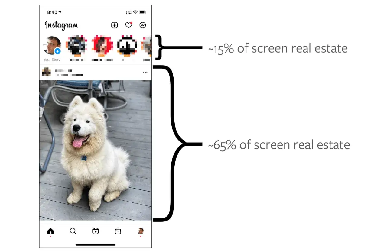 Nowa funkcja na Instagramie: Pasek Stories zajmuje 15% ekranu, a główny feed z uroczym psem aż 65%.