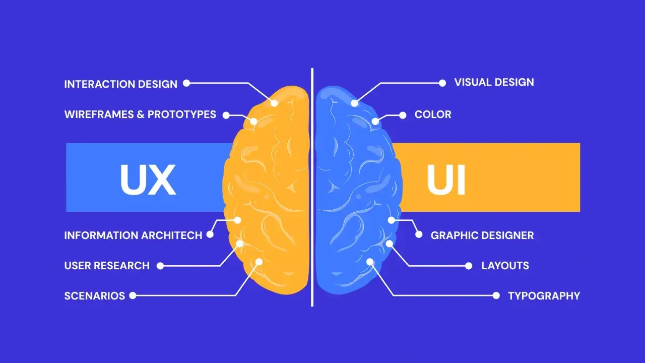 Ilustracja m&oacute;zgu podzielonego na UX (interakcja, prototypy, badania) i UI (kolor, typografia, projekt graficzny).