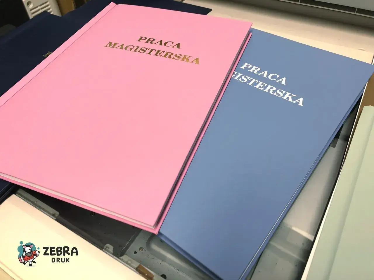 R&oacute;żowa i niebieska praca magisterska gotowa do bindowania dokument&oacute;w.